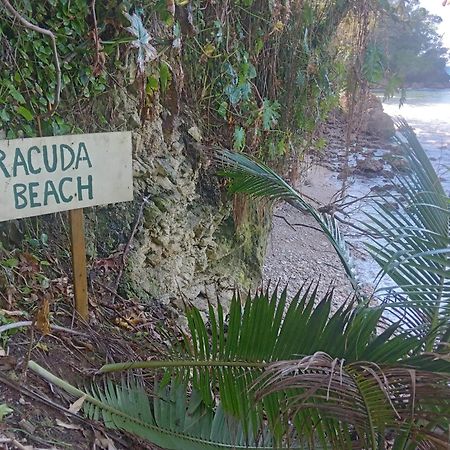 Barracuda Beach Hotel Port Antonio Kültér fotó