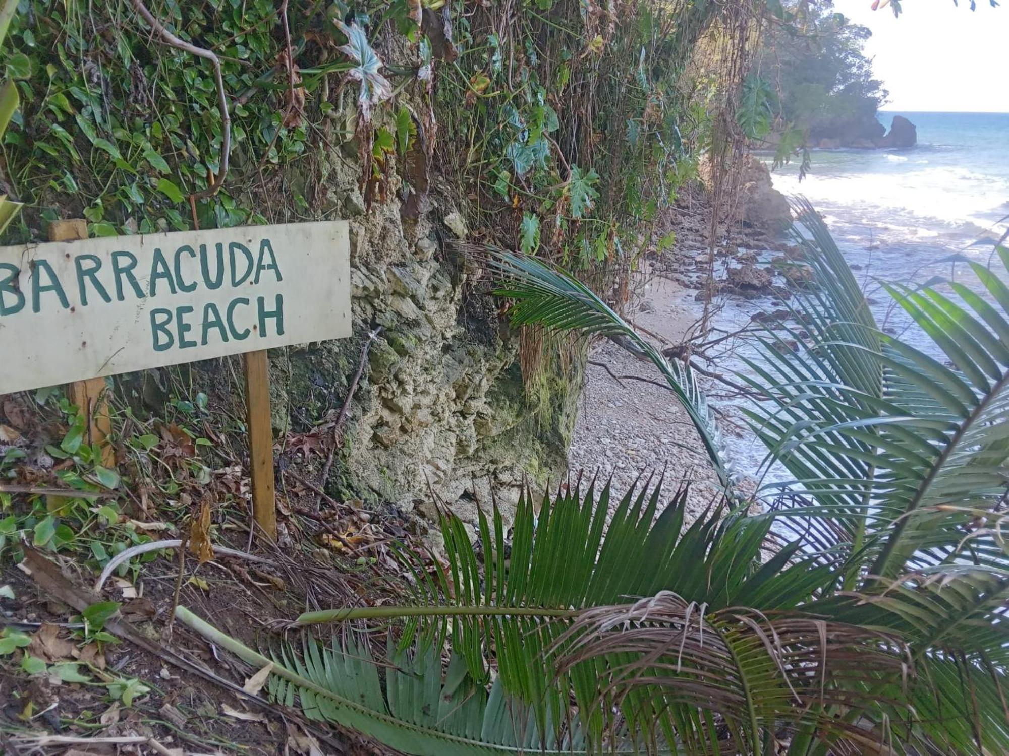 Barracuda Beach Hotel Port Antonio Kültér fotó