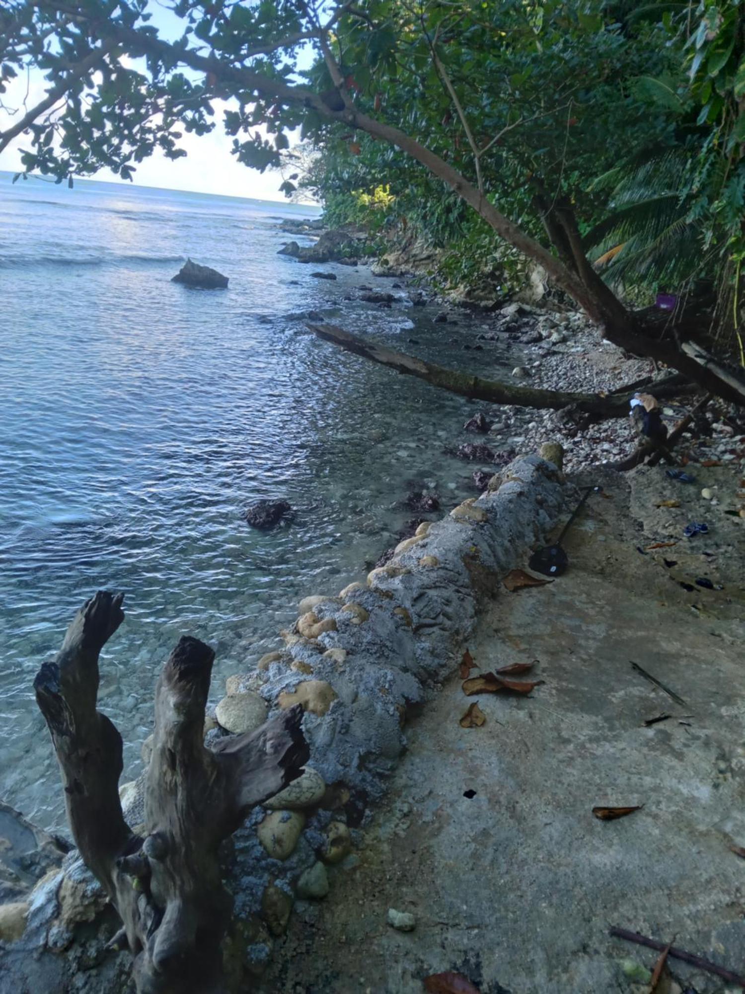 Barracuda Beach Hotel Port Antonio Kültér fotó