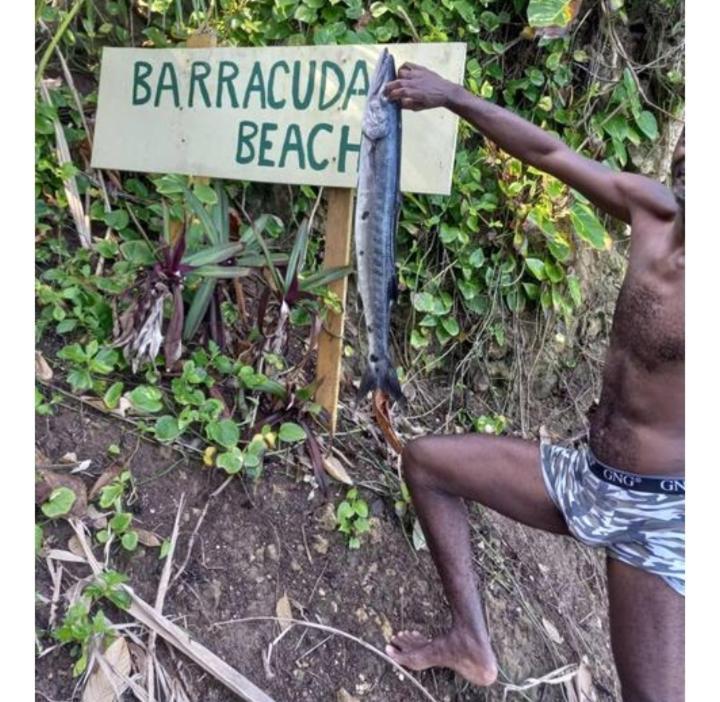 Barracuda Beach Hotel Port Antonio Kültér fotó